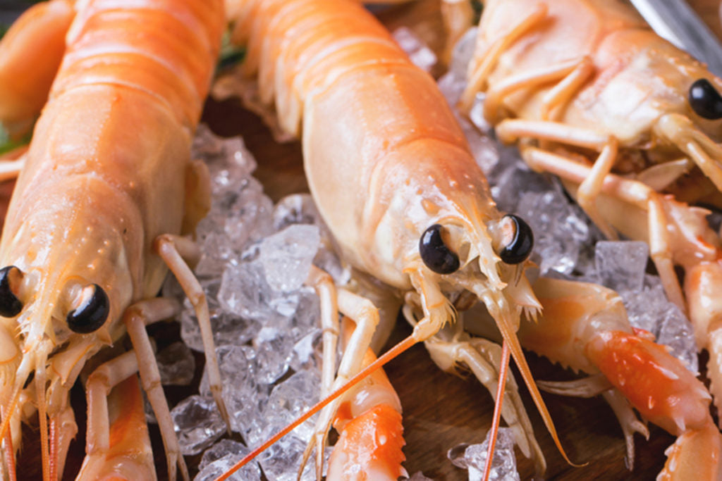 Frozen Shrimp
